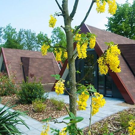 Bij Het Buitengoed Rijsbergen Exteriér fotografie
