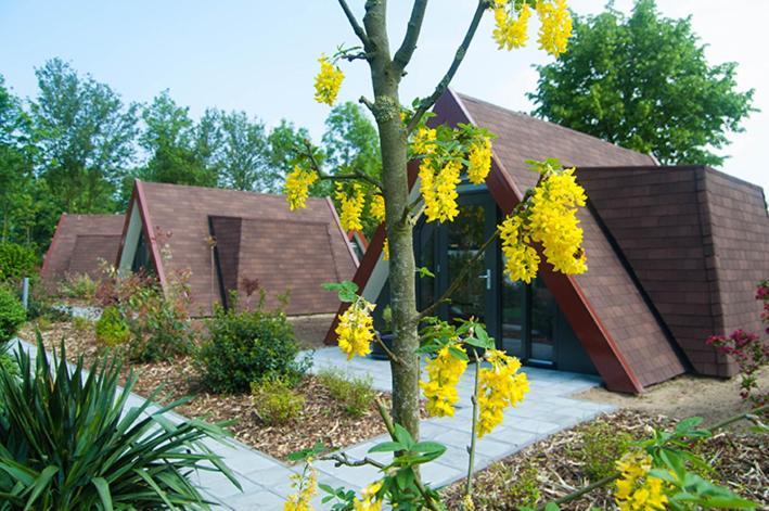 Bij Het Buitengoed Rijsbergen Exteriér fotografie